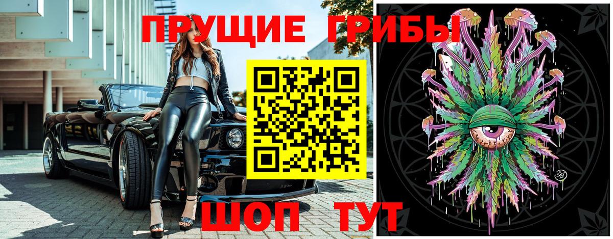 Галлюциногенные грибы Psilocybe Обнинск