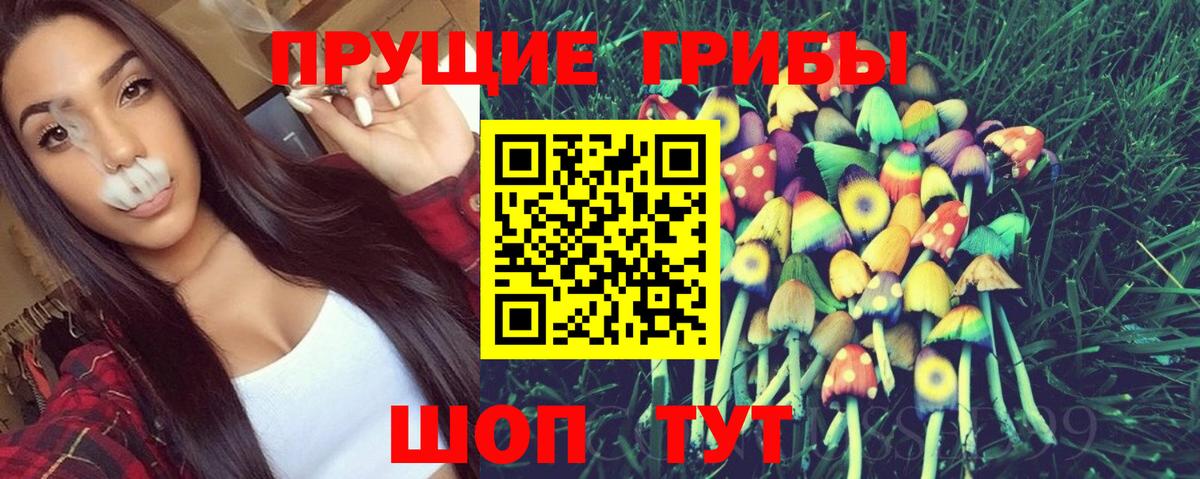 Обнинск  сколько стоит  Вход с VPN  Псилоцибиновые грибы мицелий 